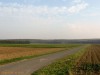 Mezőgazdasági út és kerékpár út egyben