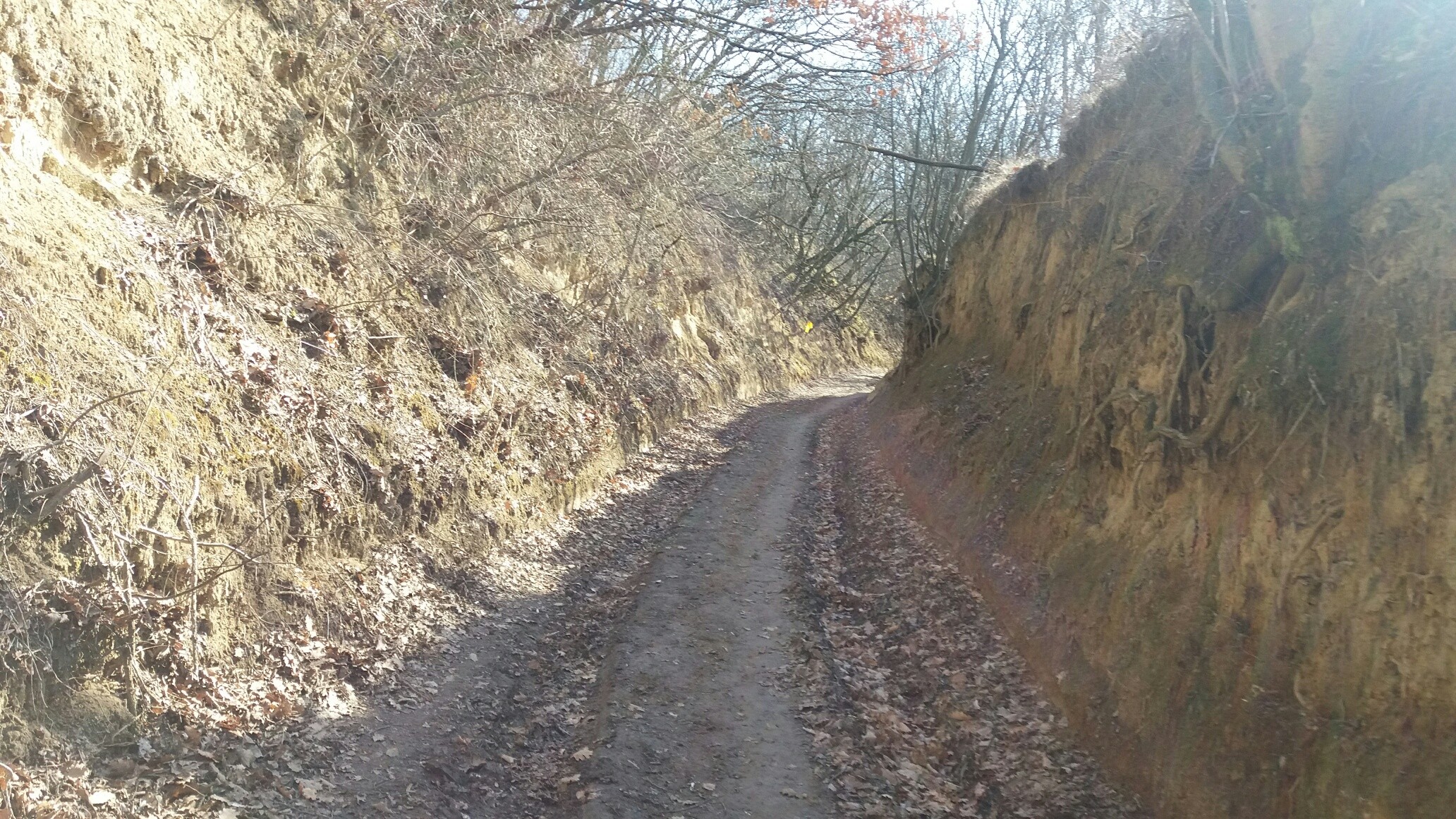 Bodri Trail 3
