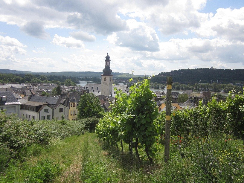 rüdesheim